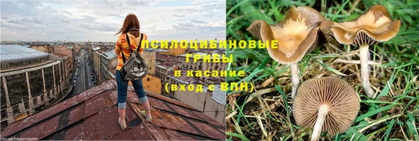сатива Абдулино